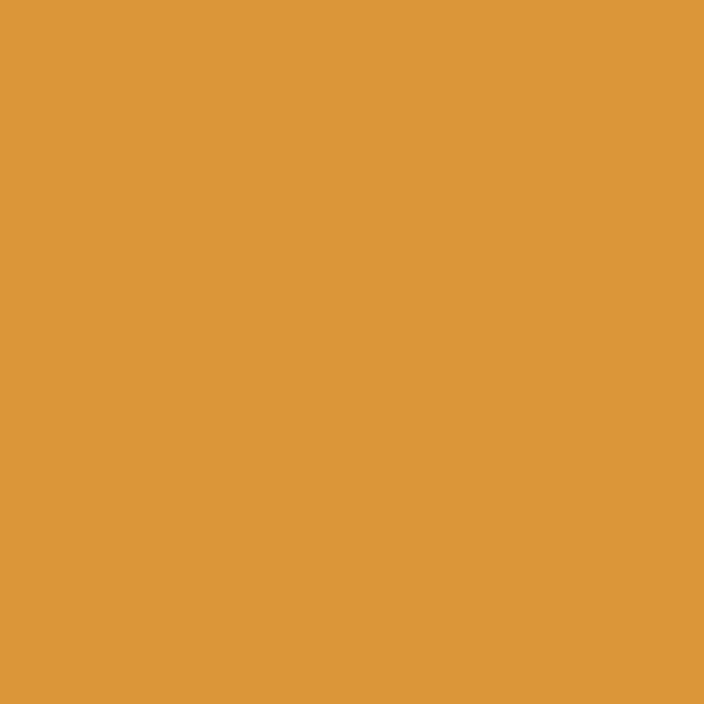 Daler Rowney, FW, Acrylic Ink, 1oz, Raw Sienna